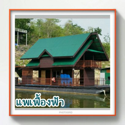 แพเฟื้องฟ้า